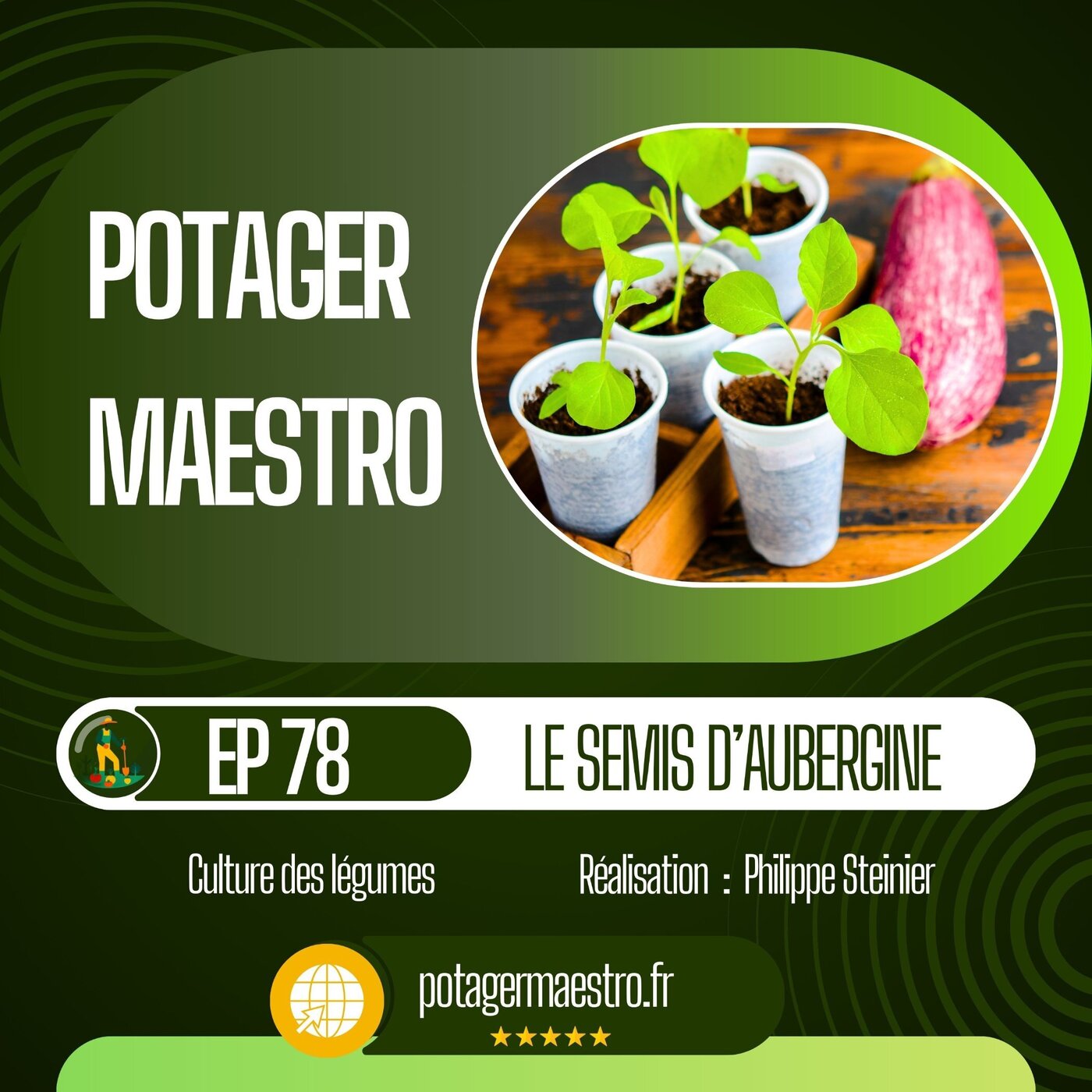 Semis d'aubergine : réussir vos plants année après année !