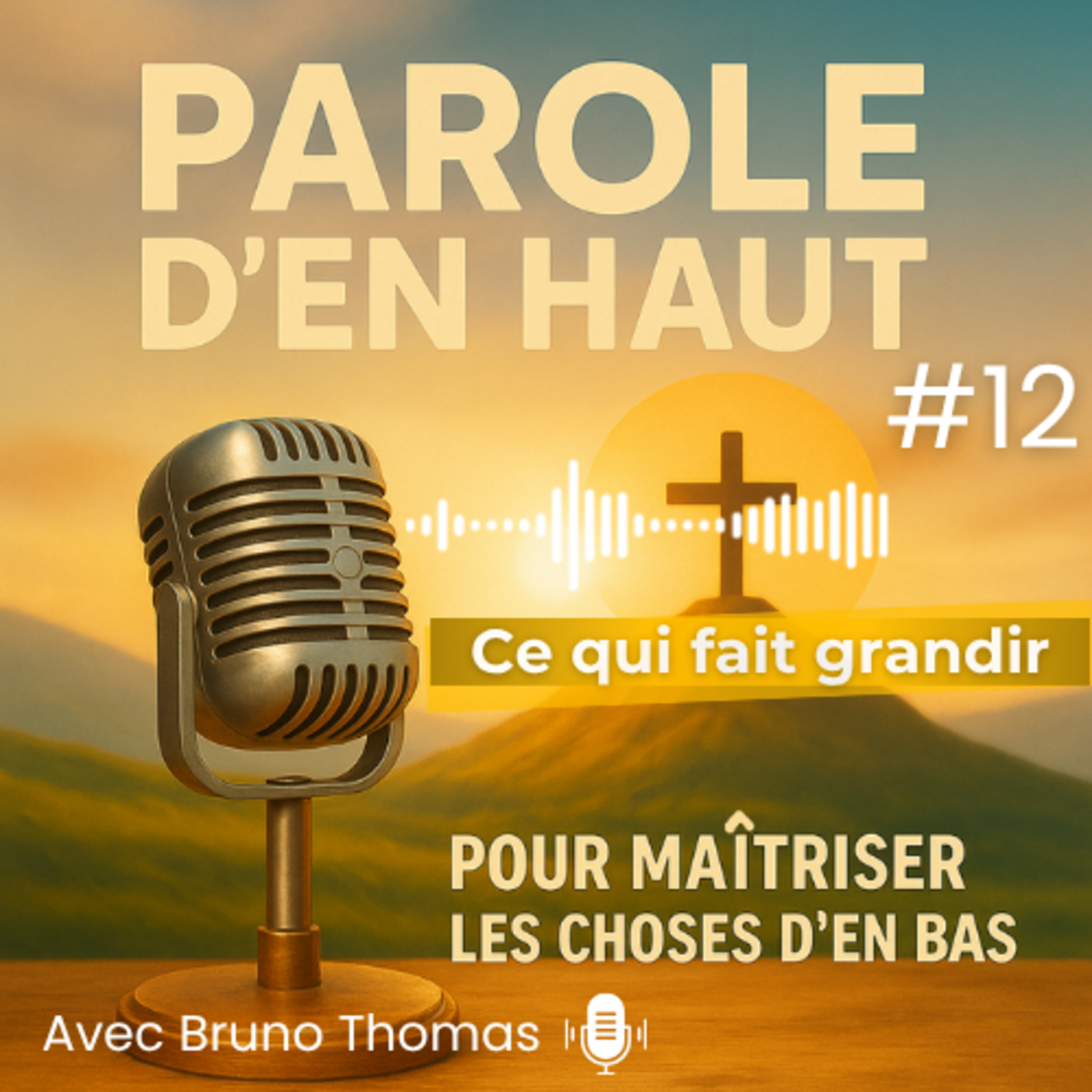 Ce qui fait grandir episode artwork