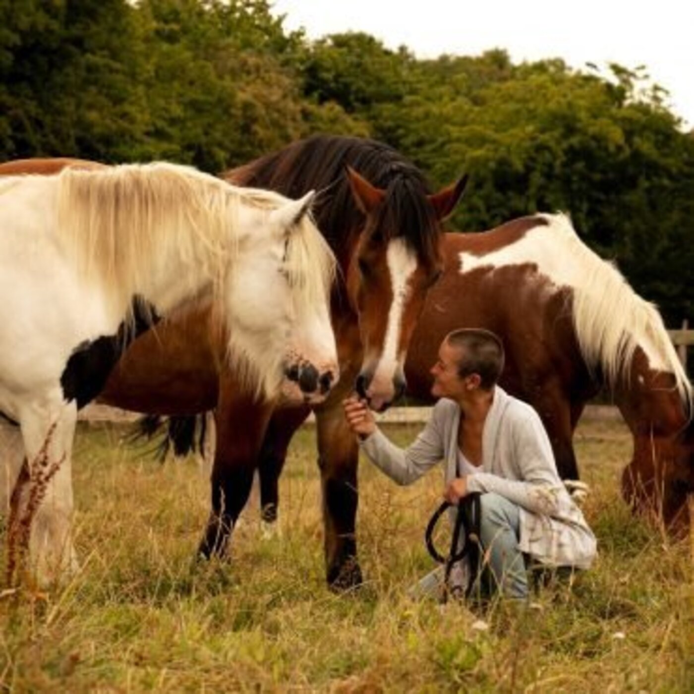 On n\'est pas bien là ?!