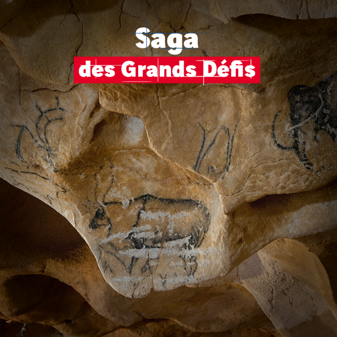 La Caverne du Pont d’Arc : quand l’ingénierie rencontre la préhistoire