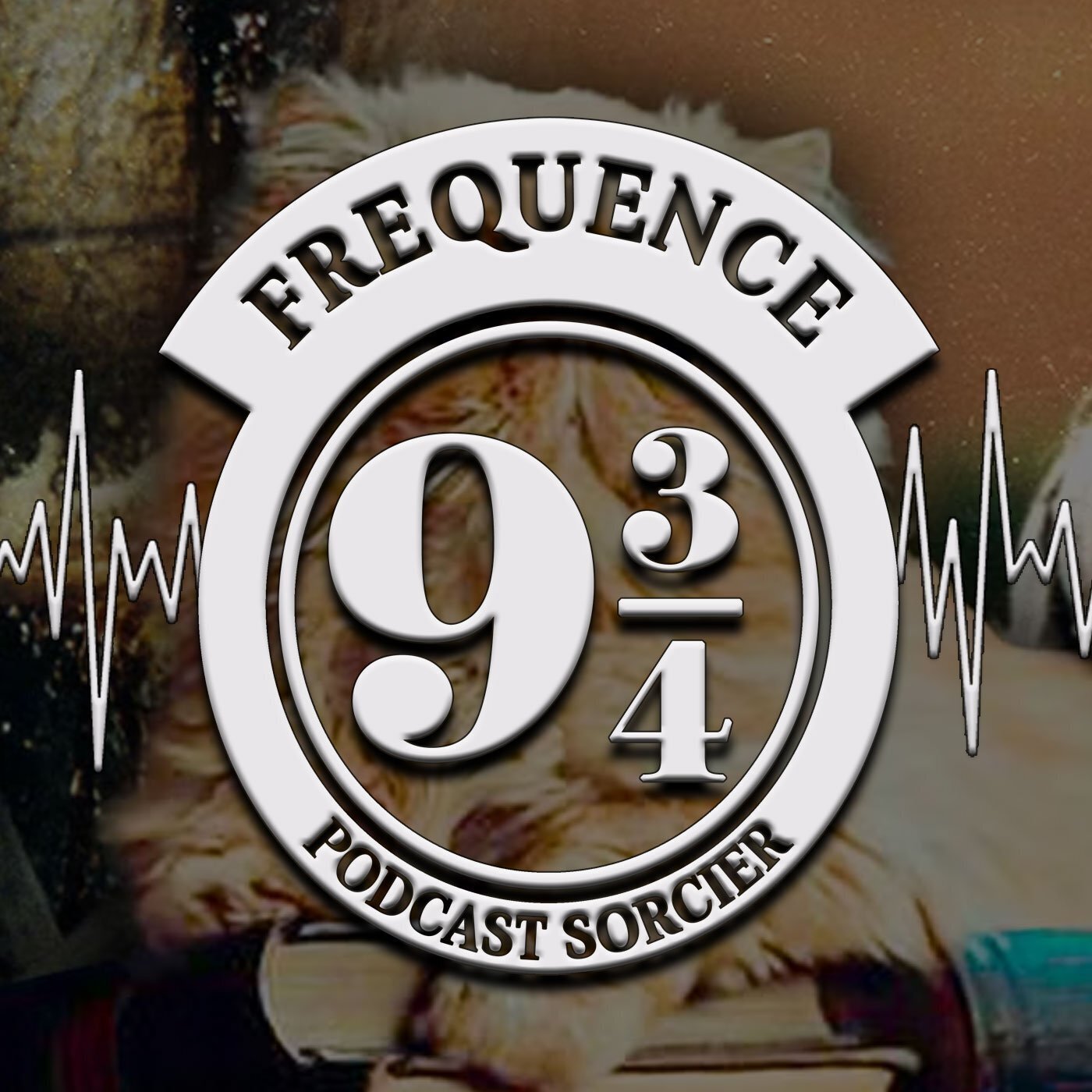 [Spécial Podcasthon] La protection des animaux et des créatures fantastiques avec Handi'Cats