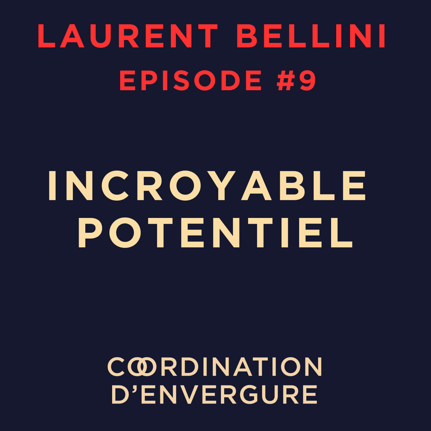Laurent BELLINI, Chef du Protocole 🇲🇫 de la Ville de Paris