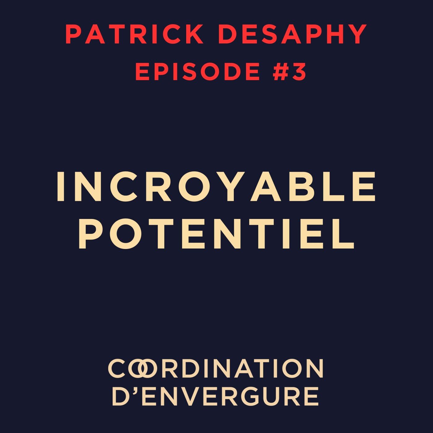 Patrick DESAPHY, Elysée 🇲🇫 Chef du service contrôle sûreté