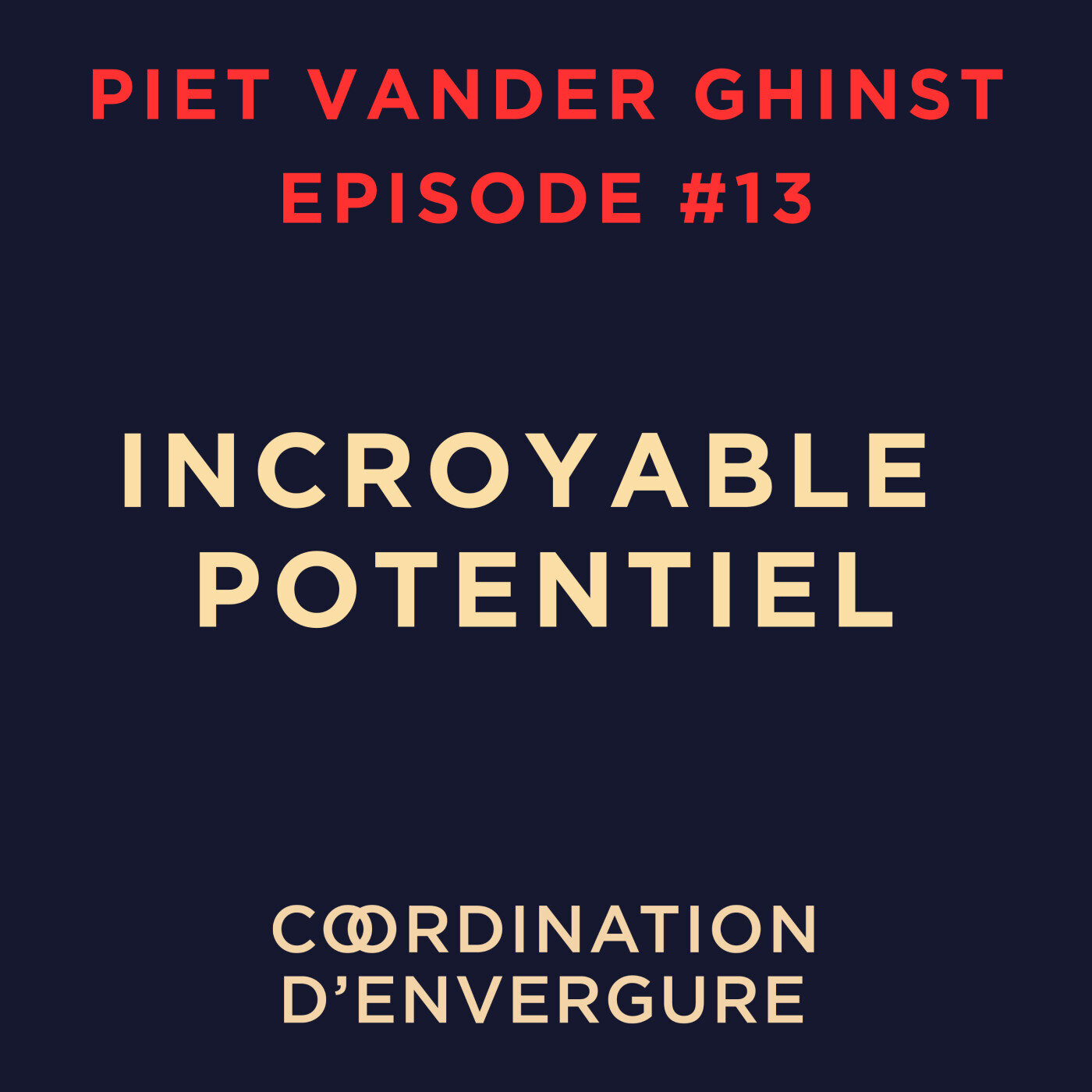 Piet VANDER GHINST, Leader expérimenté dans l'agroalimentaire et d'autres secteurs