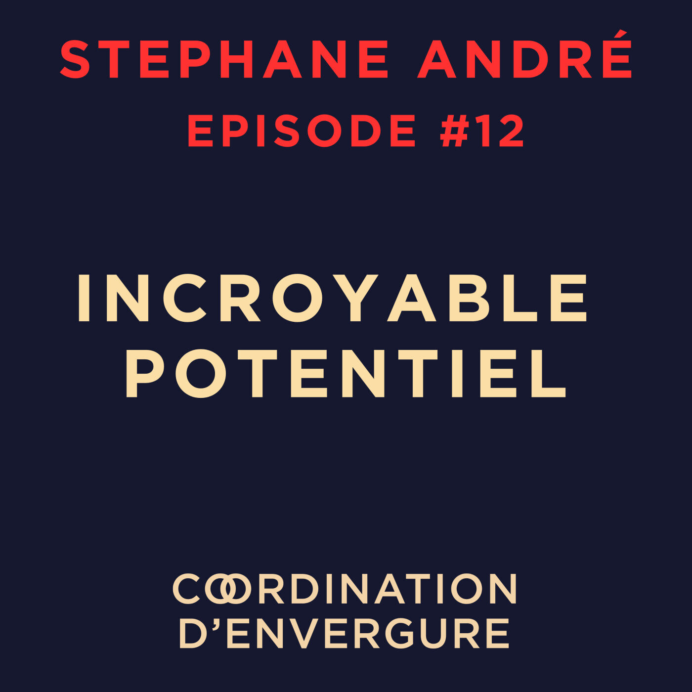 Stéphane ANDRÉ, Fondateur Directeur de l'École de l'Art Oratoire - Paris