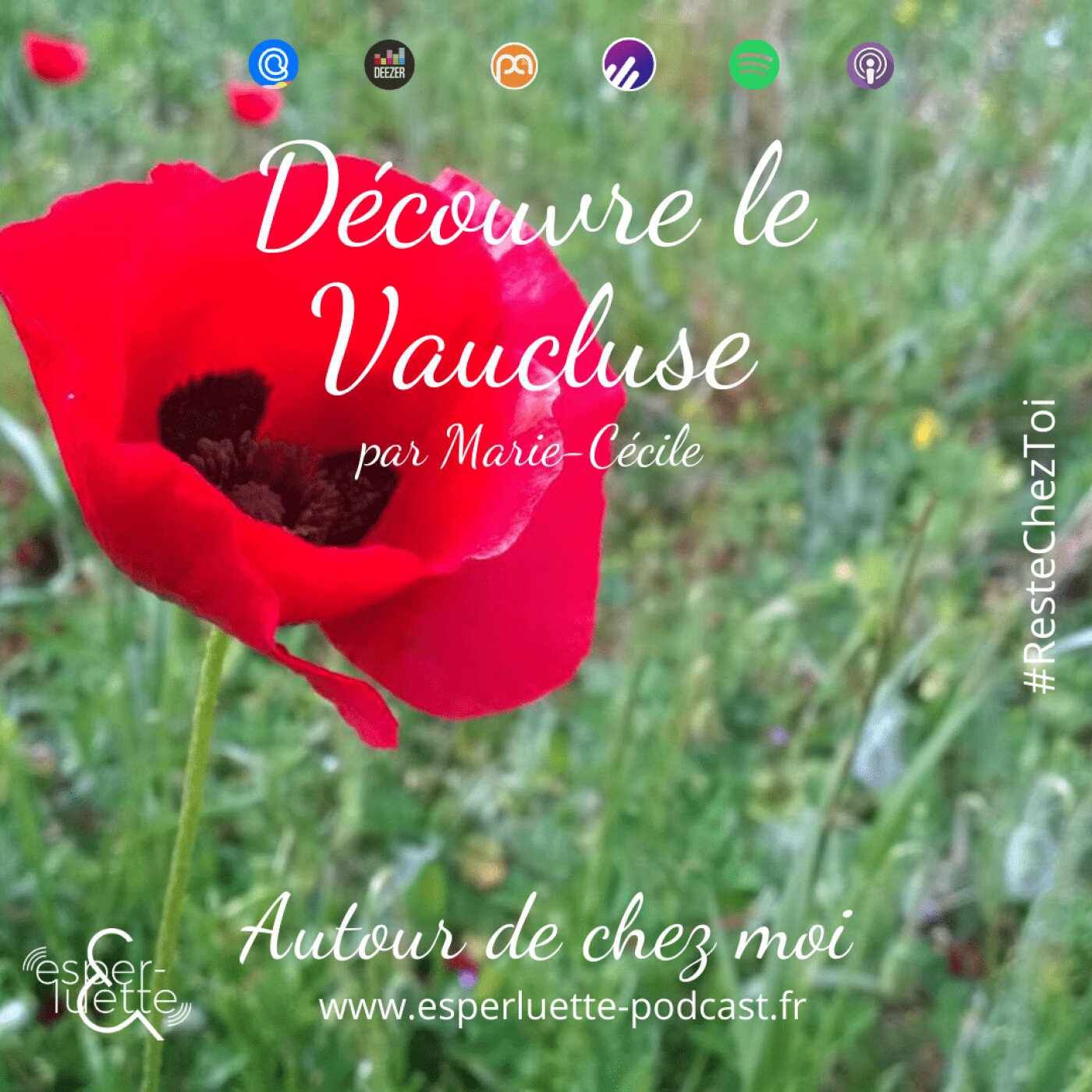 Autour de ma maison à Carpentras - Découvre le Vaucluse #ResteChezToi