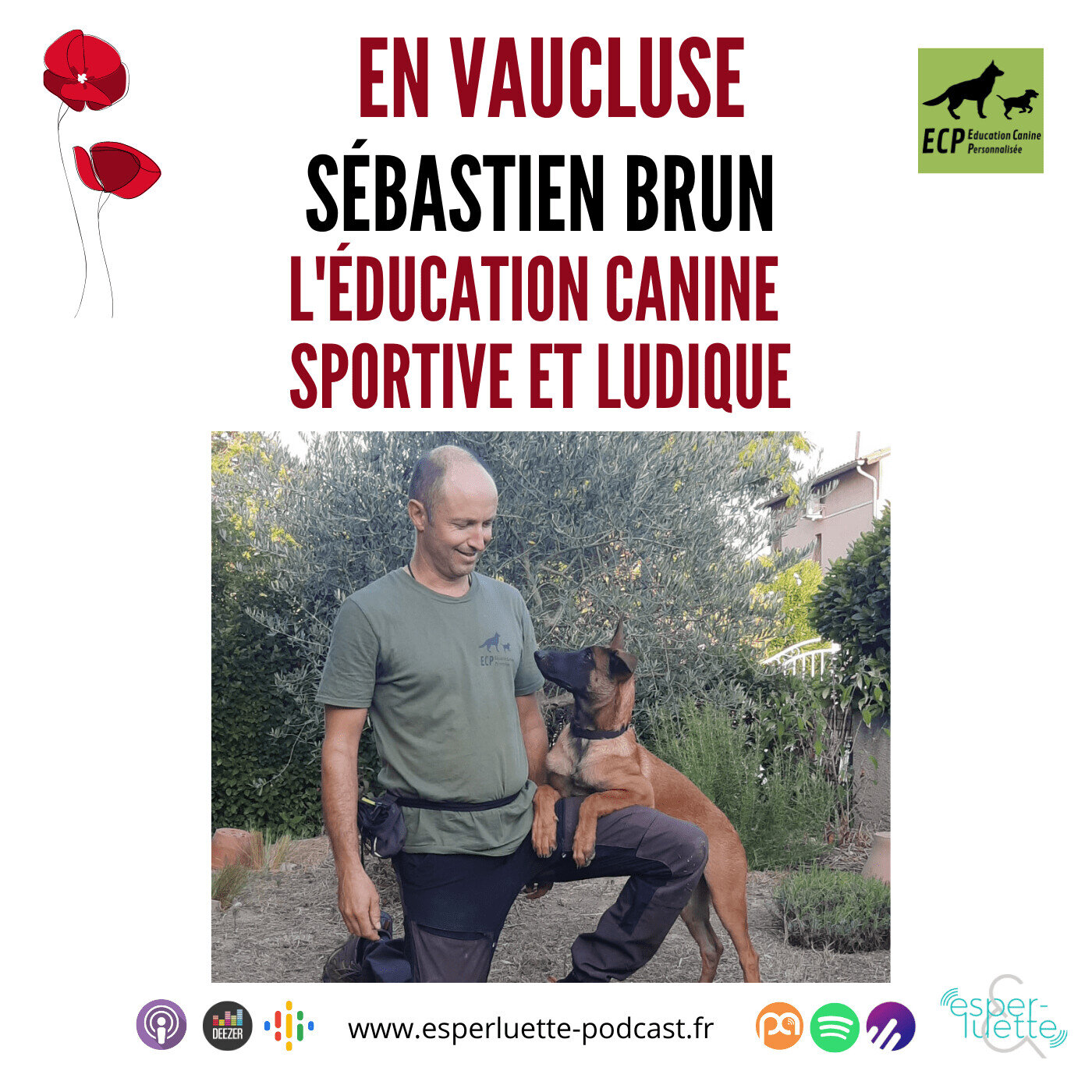 Sébastien Brun, l'éducation canine sportive & ludique - En Vaucluse