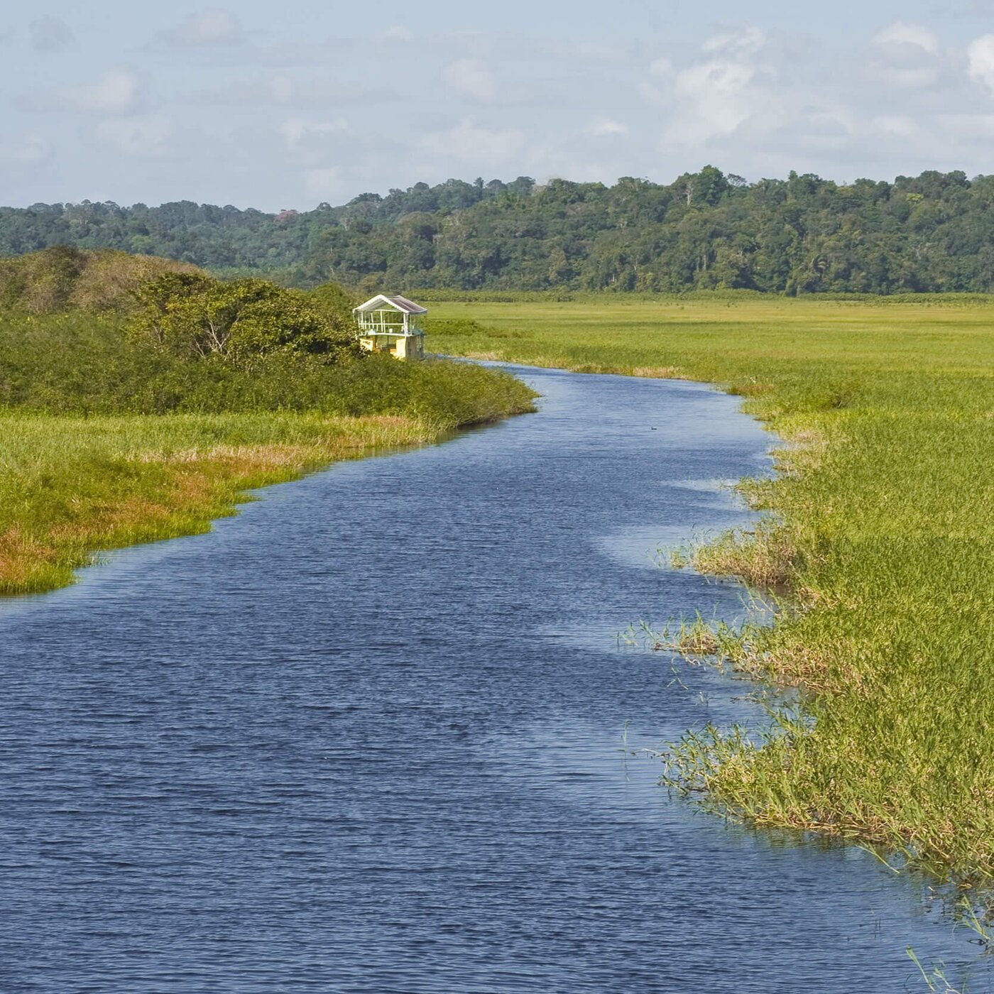 CHRONIQUES IMMERSIVES