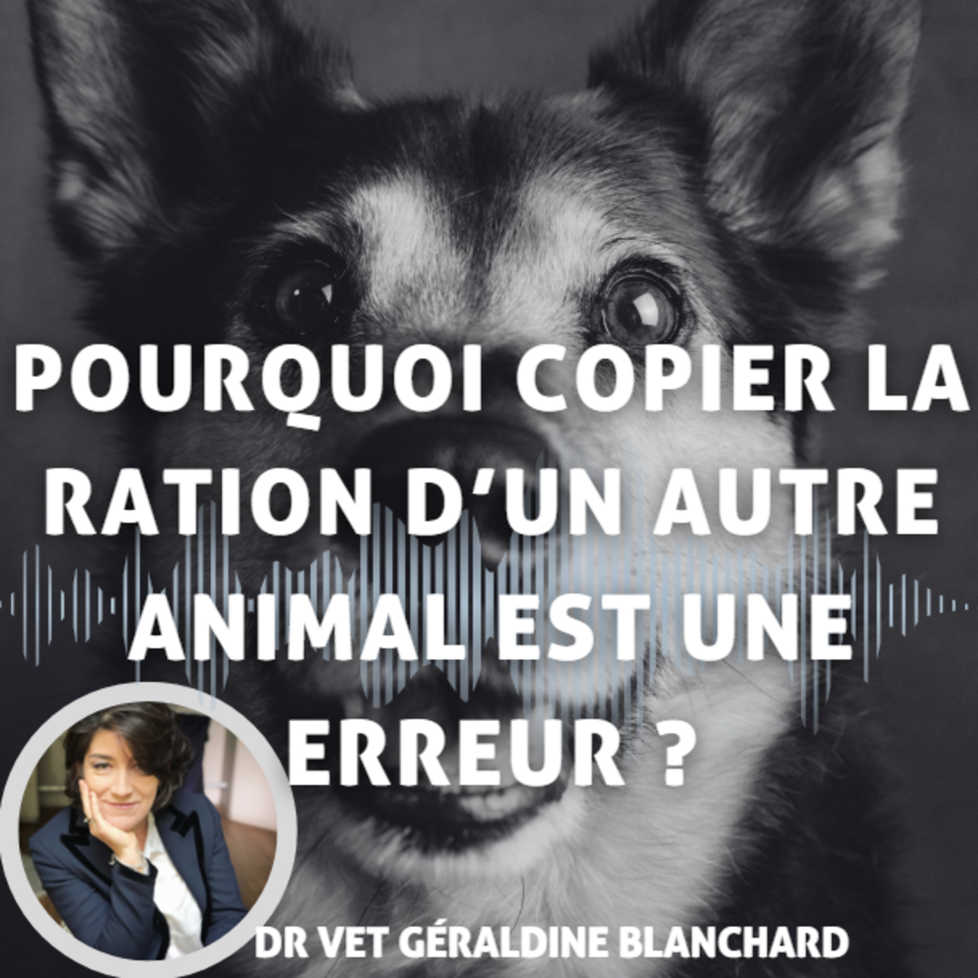 Idée reçue : Je peux copier la ration d'un autre animal episode artwork