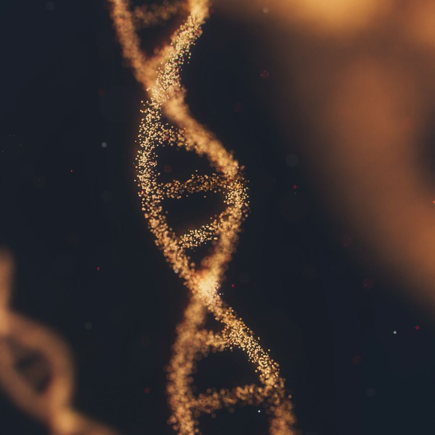 Les voyages intérieurs de Thomas - Méditations guidées