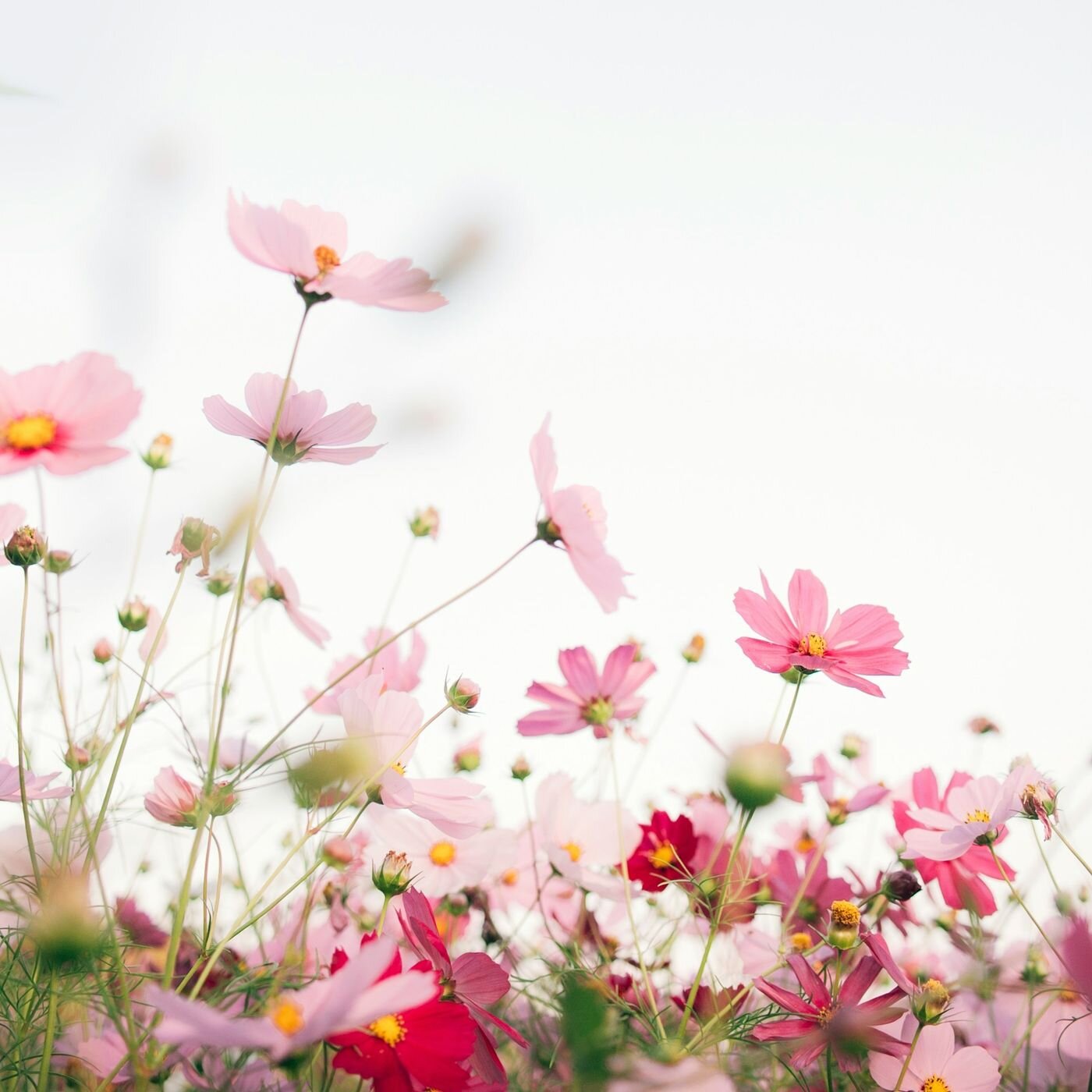 Les voyages intérieurs de Thomas - Méditations guidées