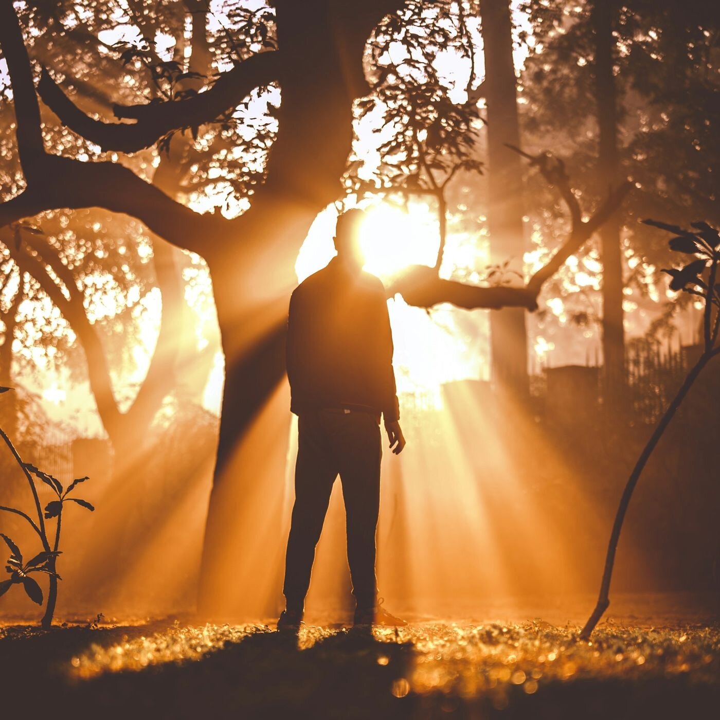 Harmonisation du corps pour une relaxation profonde et complète Harmonisation du corps pour une relaxation profonde et complète