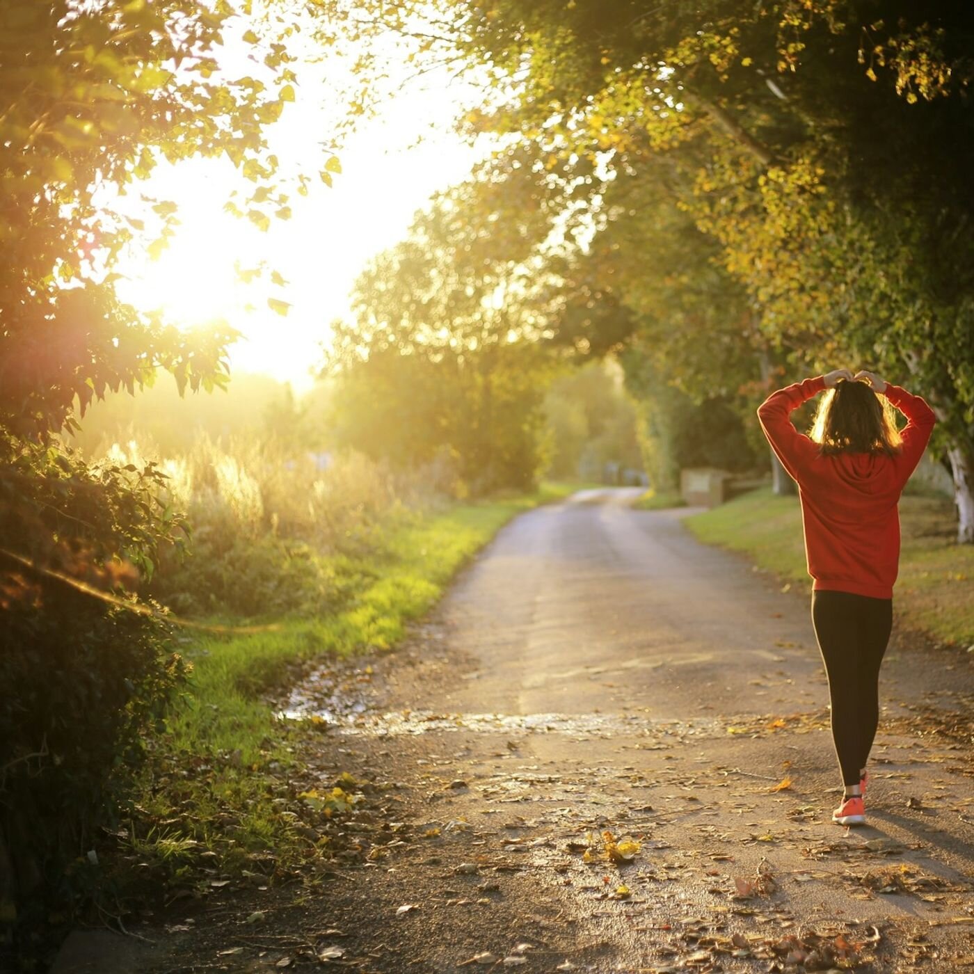 Les voyages intérieurs de Thomas - Méditations guidées