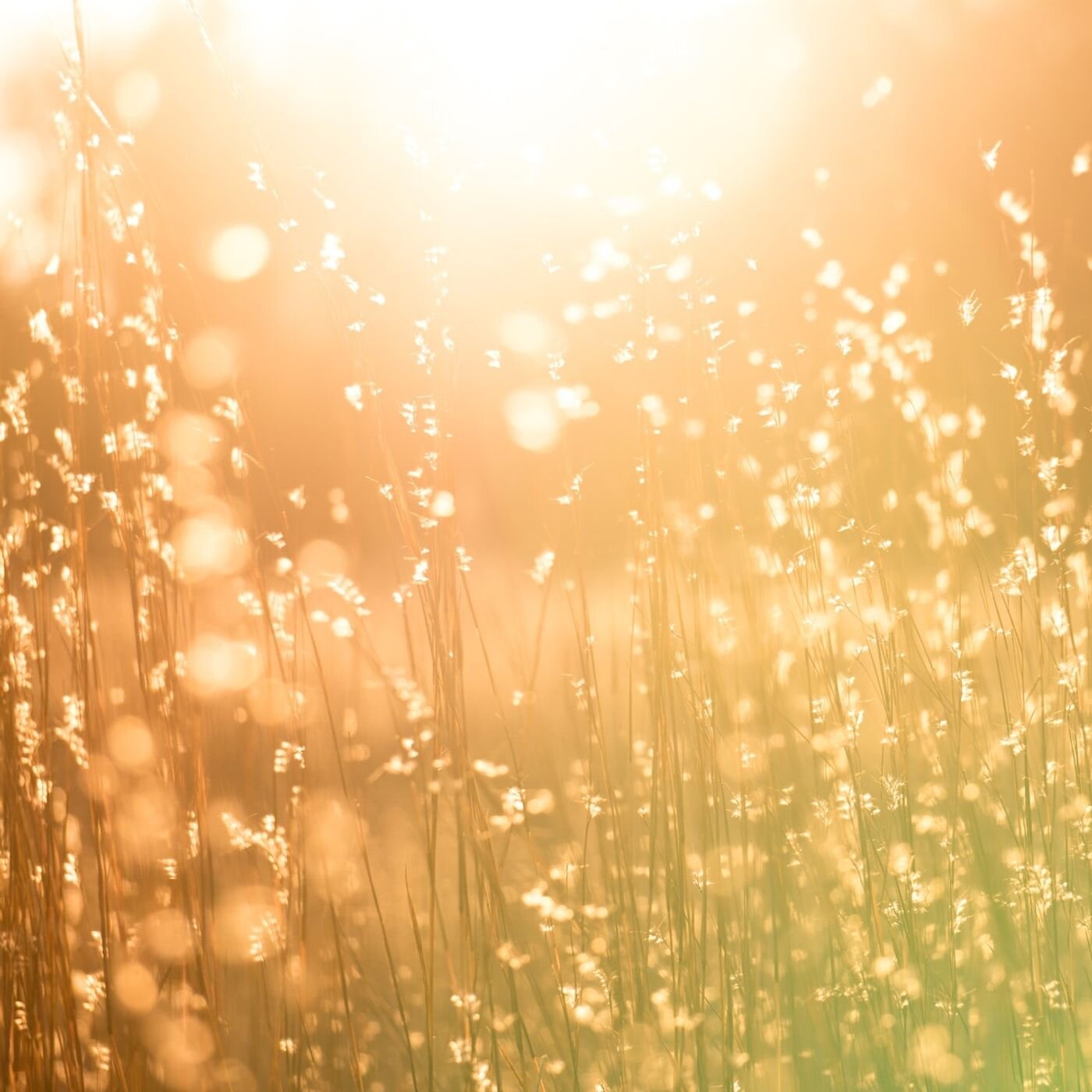 Les voyages intérieurs de Thomas - Méditations guidées