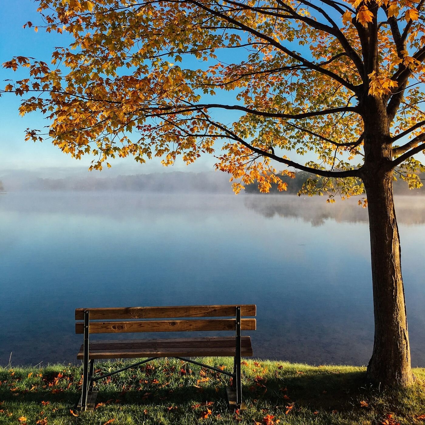 Les voyages intérieurs de Thomas - Méditations guidées