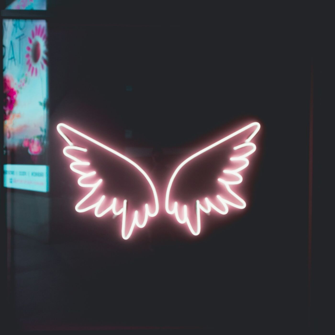 Les voyages intérieurs de Thomas - Méditations guidées