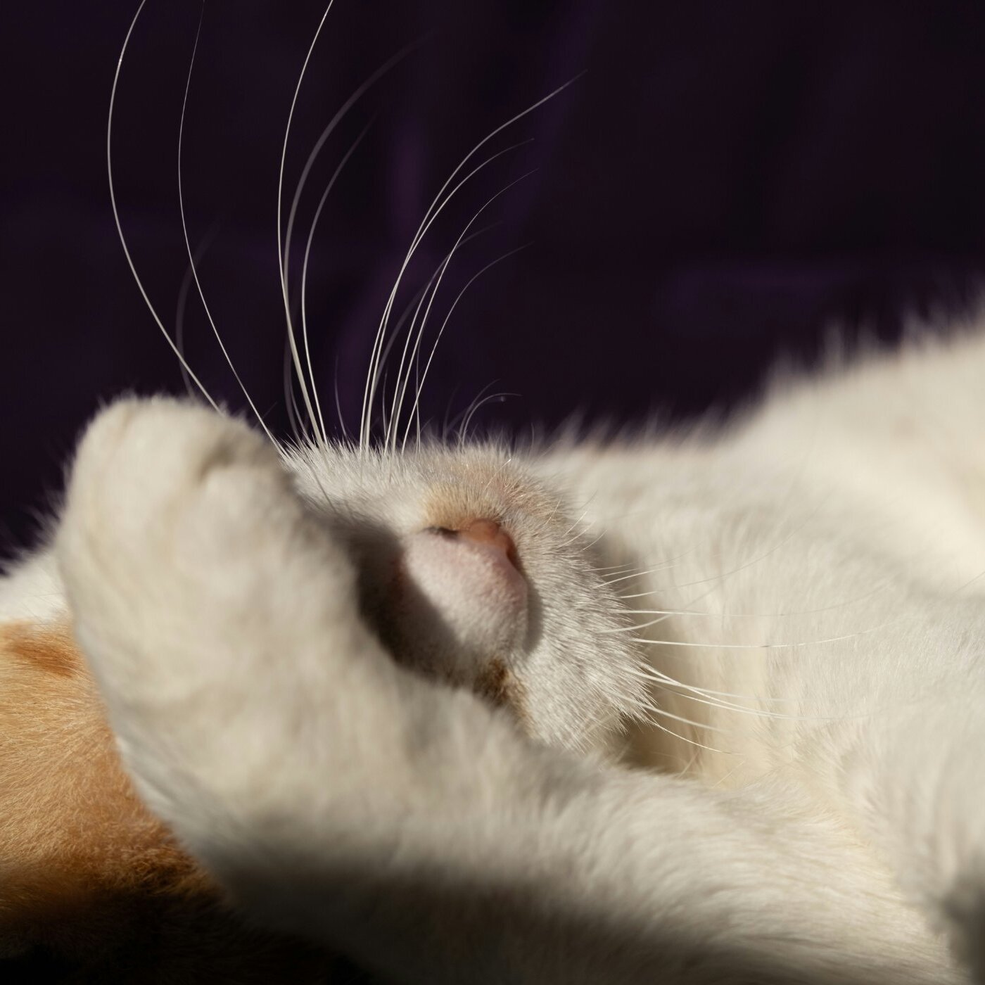 Méditation pour une détente profonde et un relâchement du corps