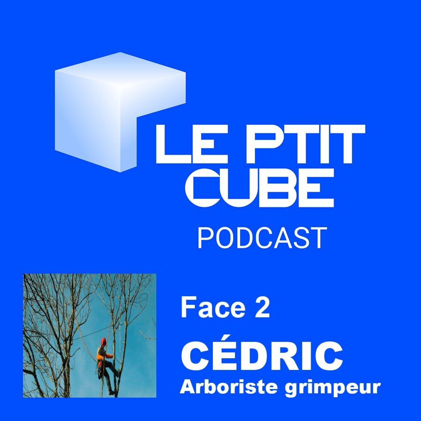 FACE 2 : AU DESSUS DE NOS TÊTES, IL ENTRETIENT LES ARBRES episode artwork
