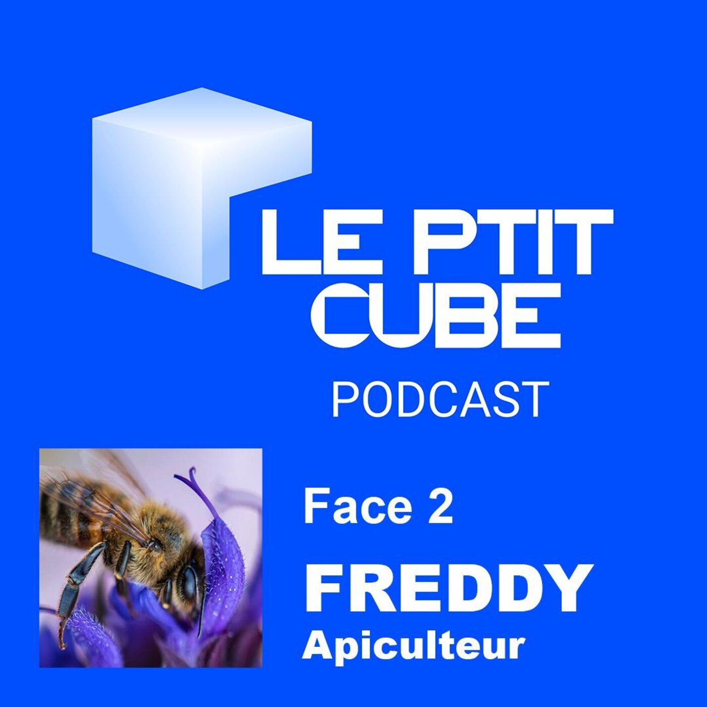 FACE 2 : PORTRAIT DE FREDDY, APICULTEUR DANS L'AISNE episode artwork