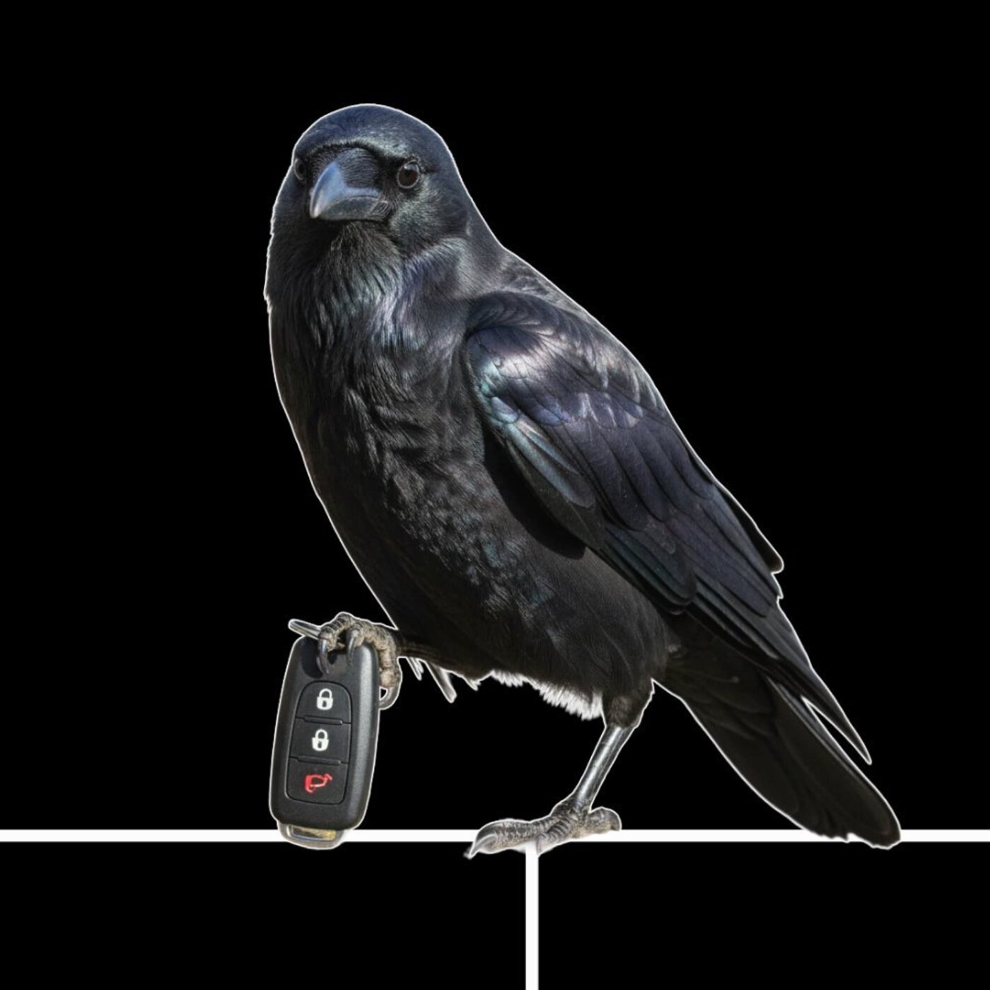 Loto Stop épisode 1 "La Mort s'habille en Desigual" Loto Stop épisode 1 "La Mort s'habille en Desigual"