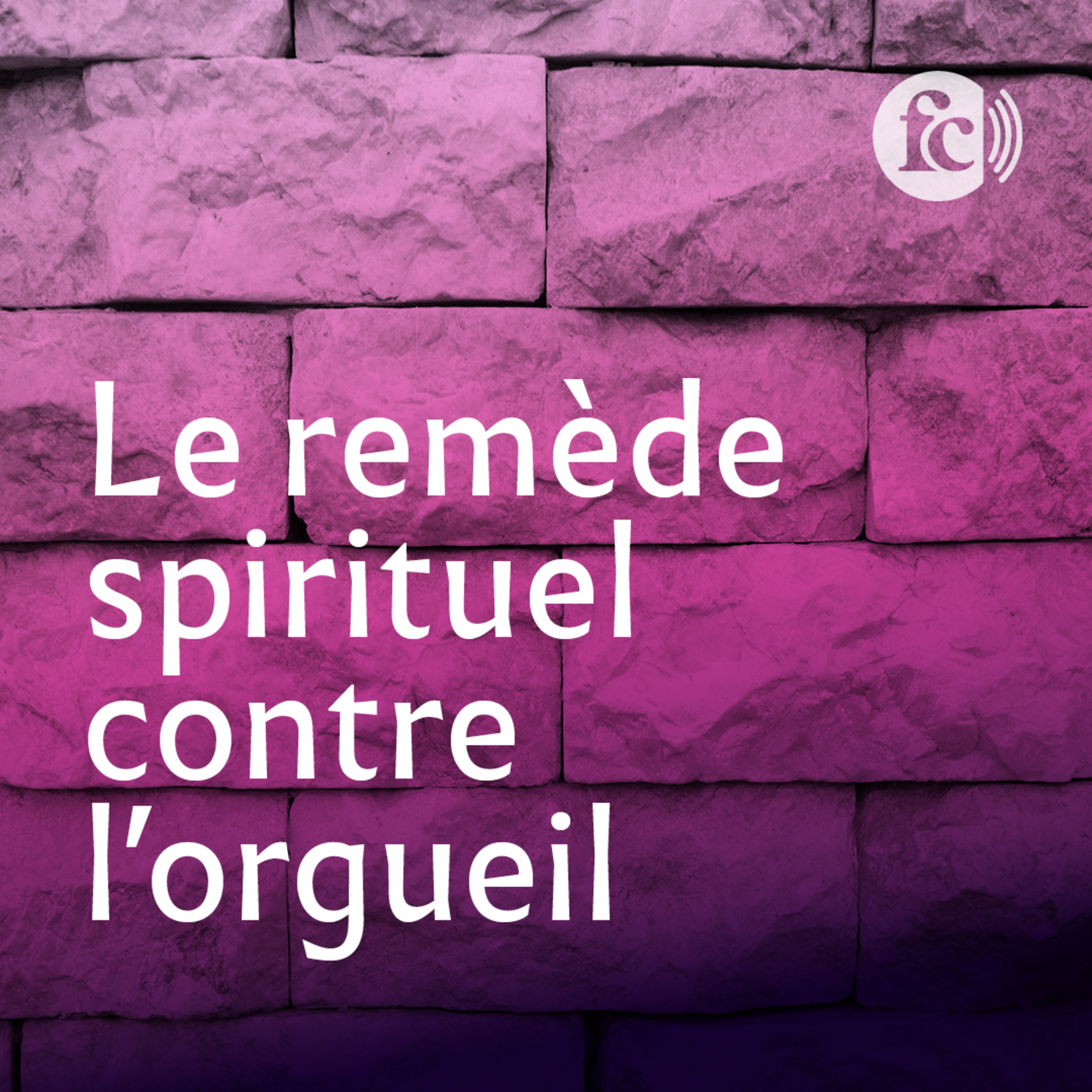 Découvrez quel est le meilleur remède à l’orgueil ! 😎