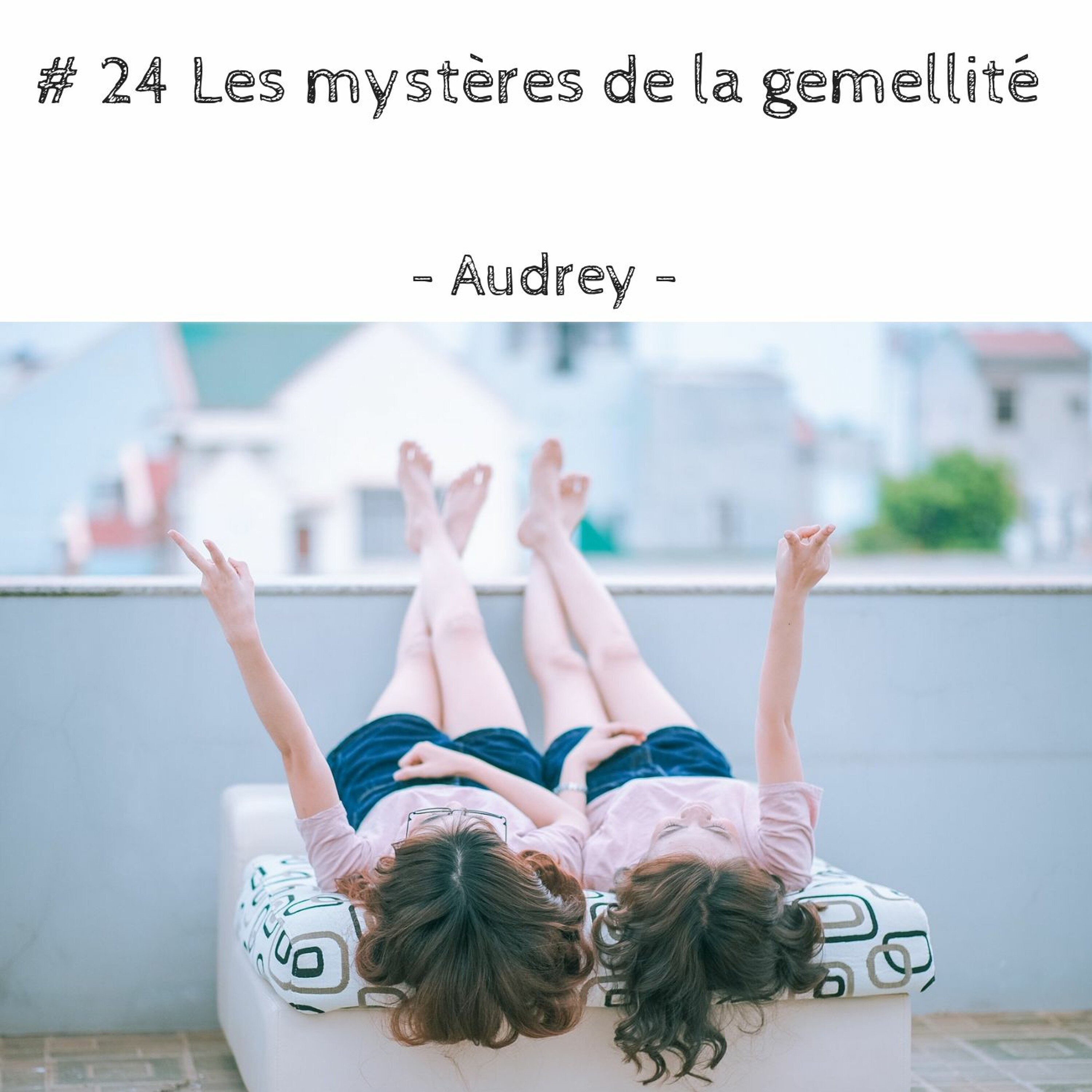 # 24 Les mystères de la gemellité