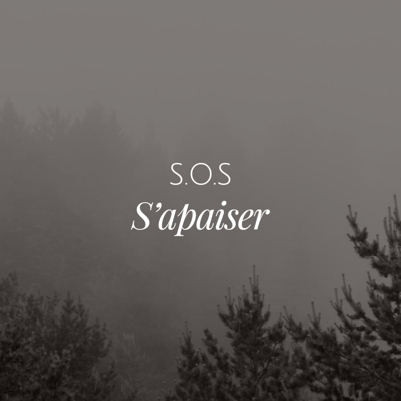 #3 Méditation express | SOS, Libérez-vous de l'émotion qui vous entrave