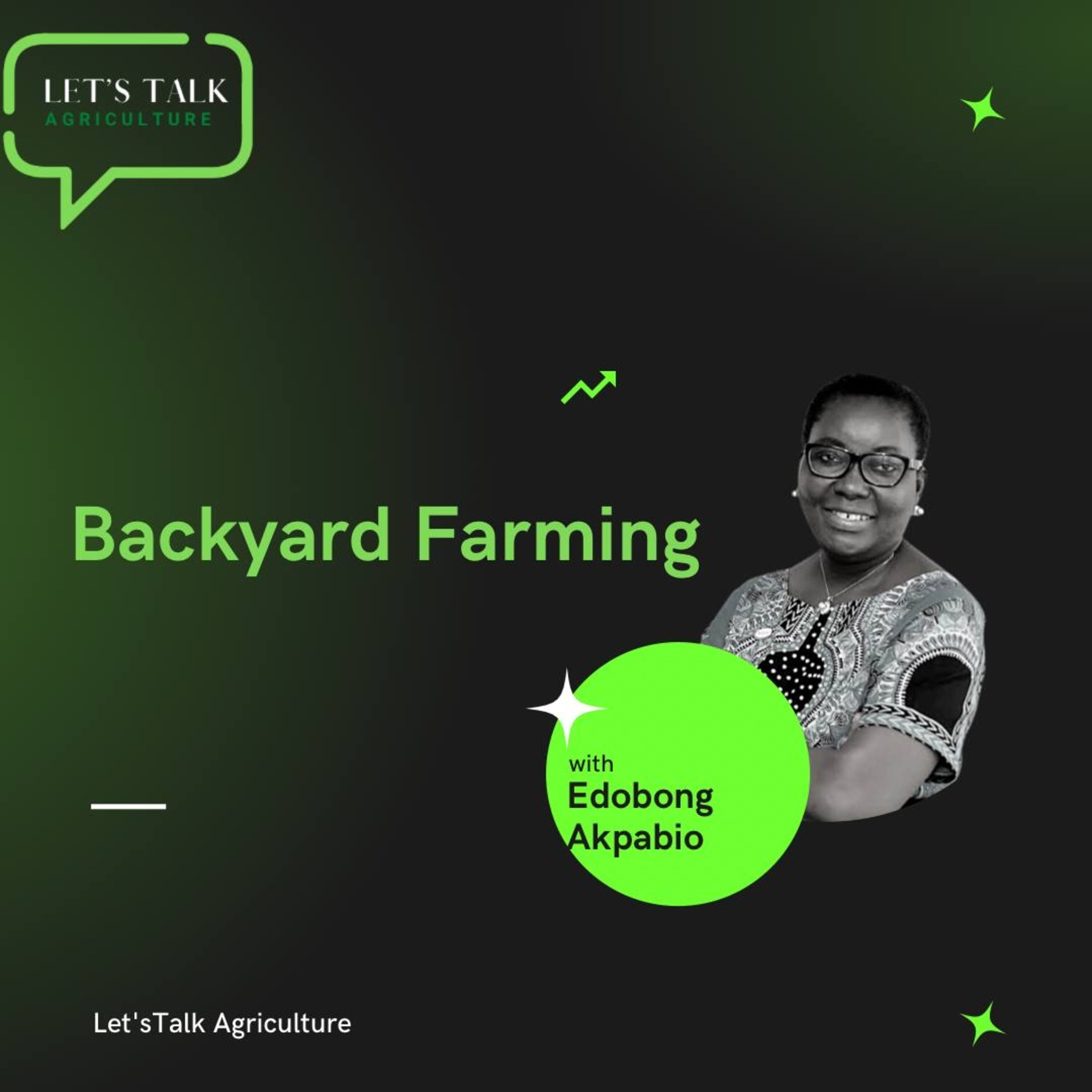 BACKYARD FARMING with Edobong Akpabio • Podcast • The Let's Talk ...
