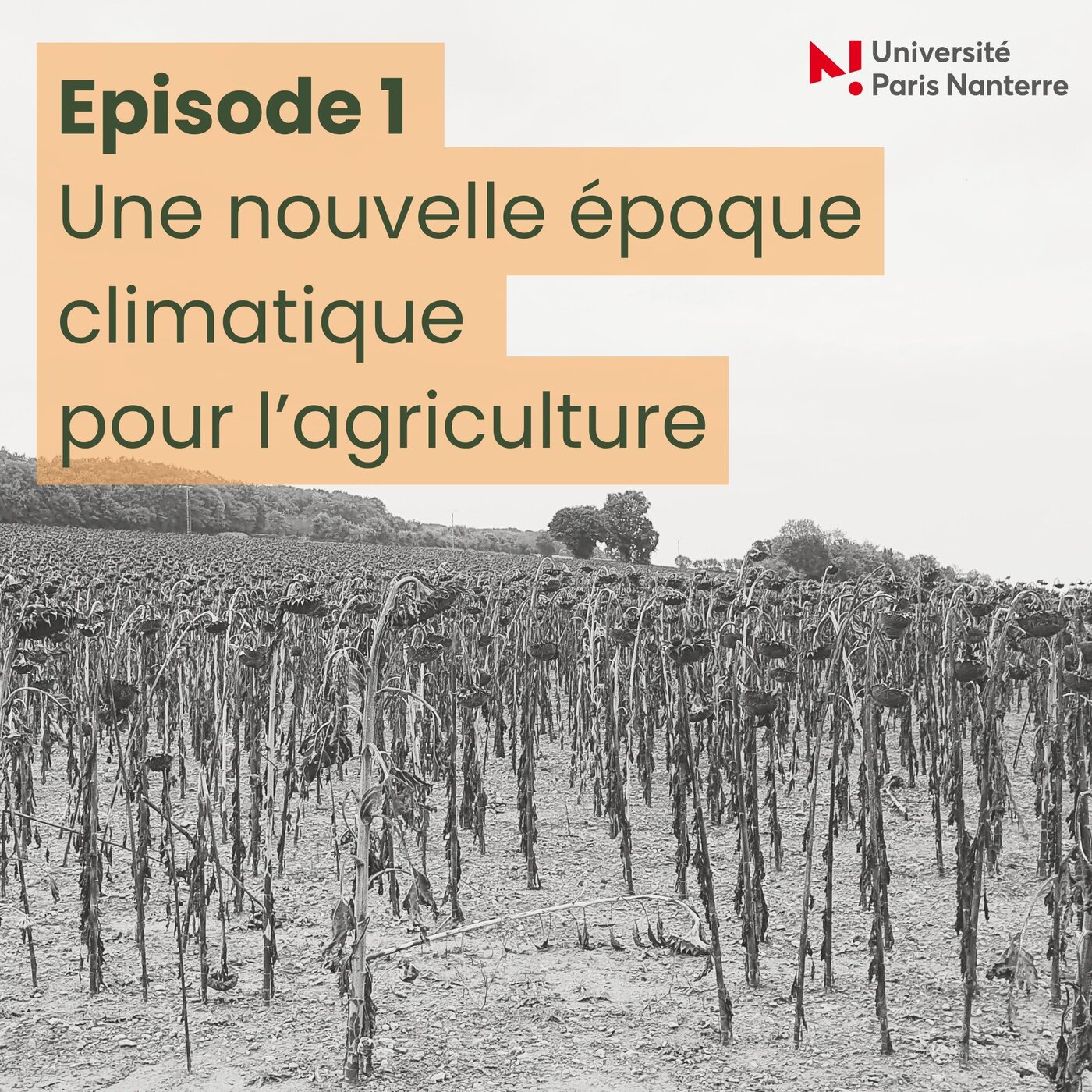 Agriculture : la mutation climatique - Episode 1 - Une nouvelle donne climatique pour l'agriculture