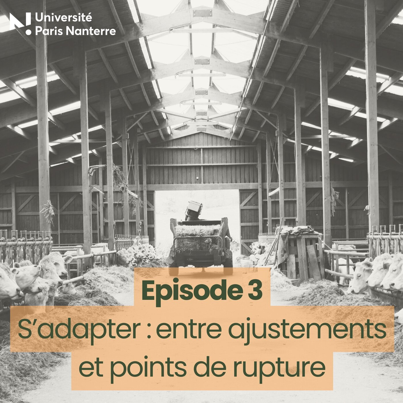 Agriculture : la mutation climatique - Episode 3 - Entre ajustements et points de rupture episode artwork