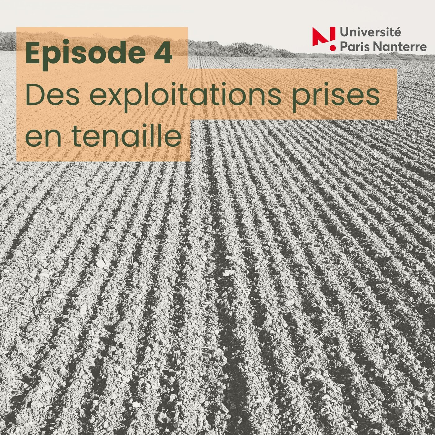 Agriculture : la mutation climatique - Episode 4 - Des exploitations prises en tenaille episode artwork