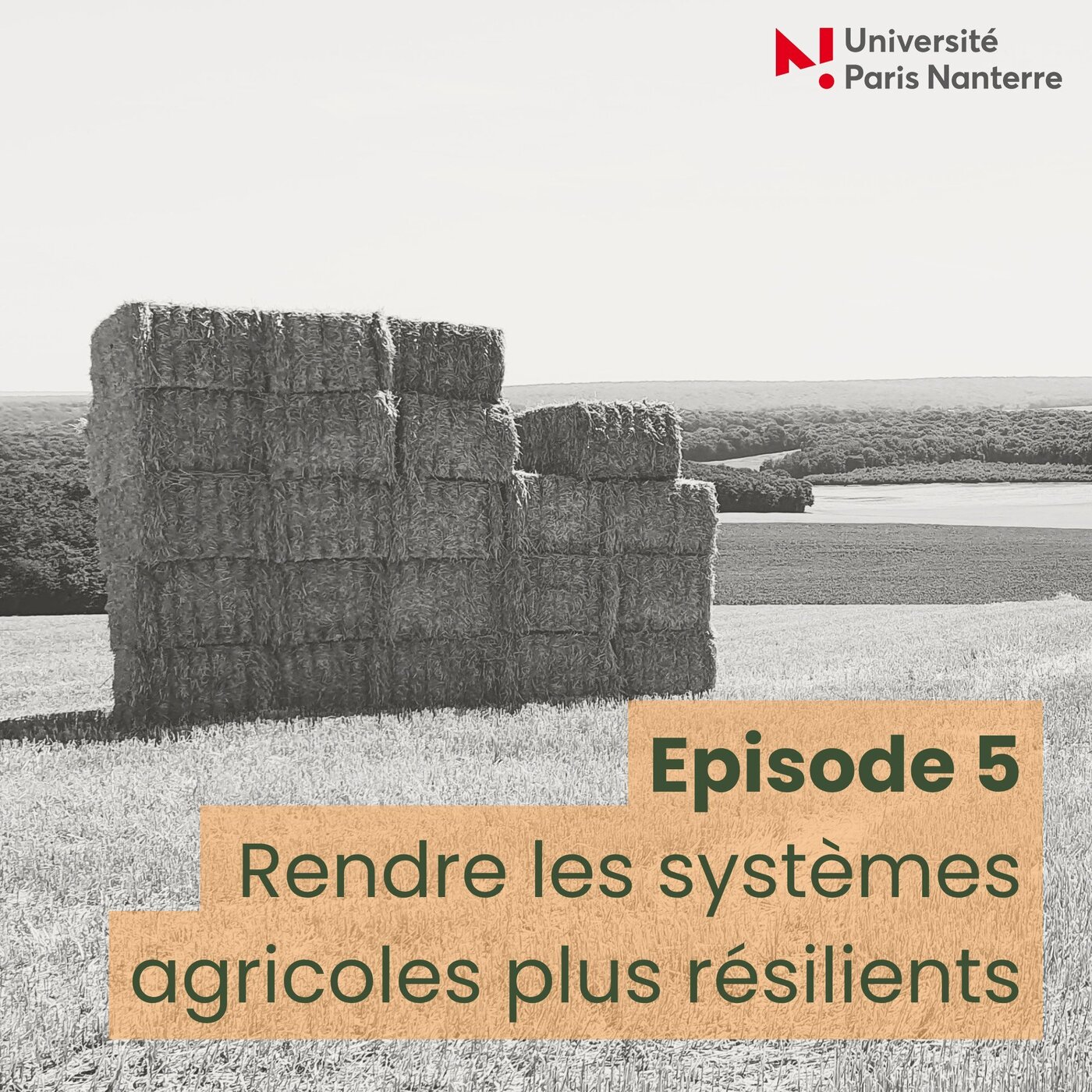 Agriculture : la mutation climatique - Episode 5 - Rendre les systèmes agricoles plus résilients episode artwork