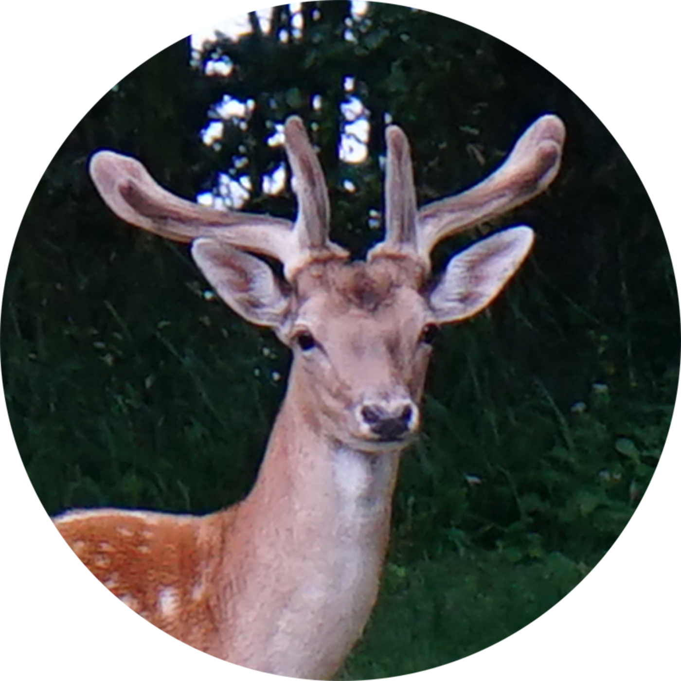 Lørdag på Langeland