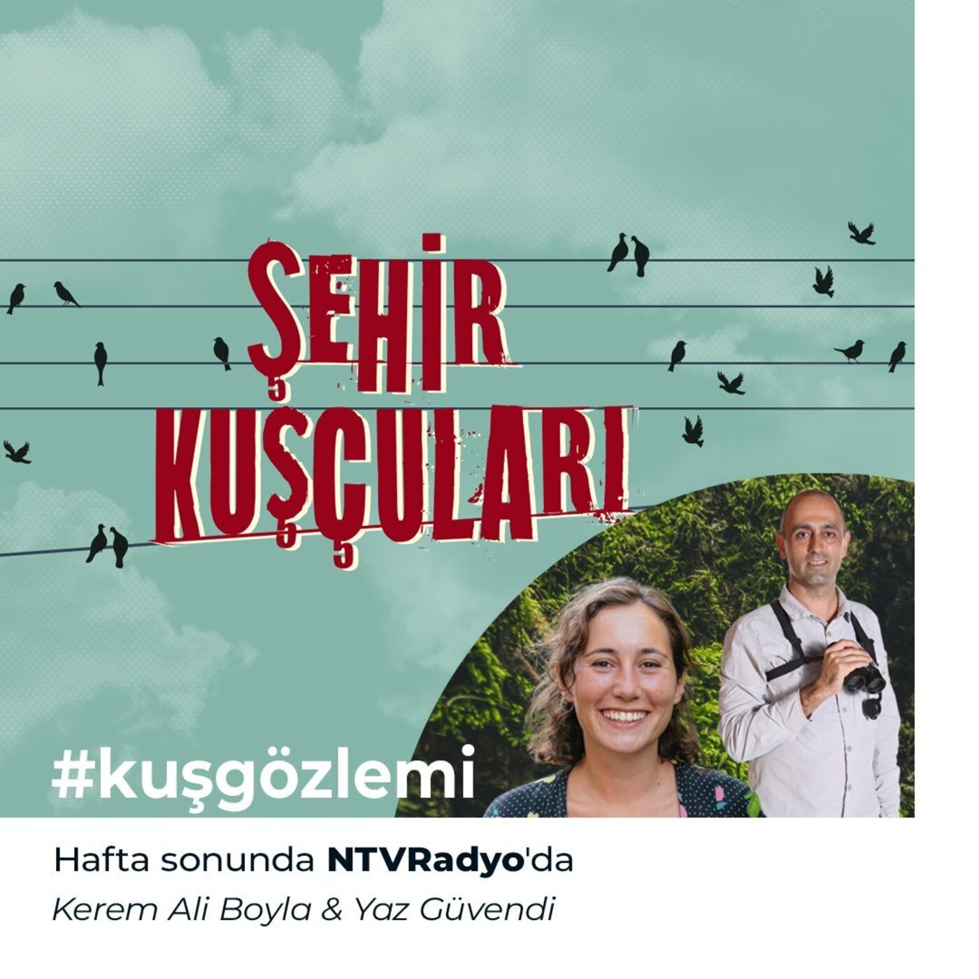 Şehir Kuşçuları