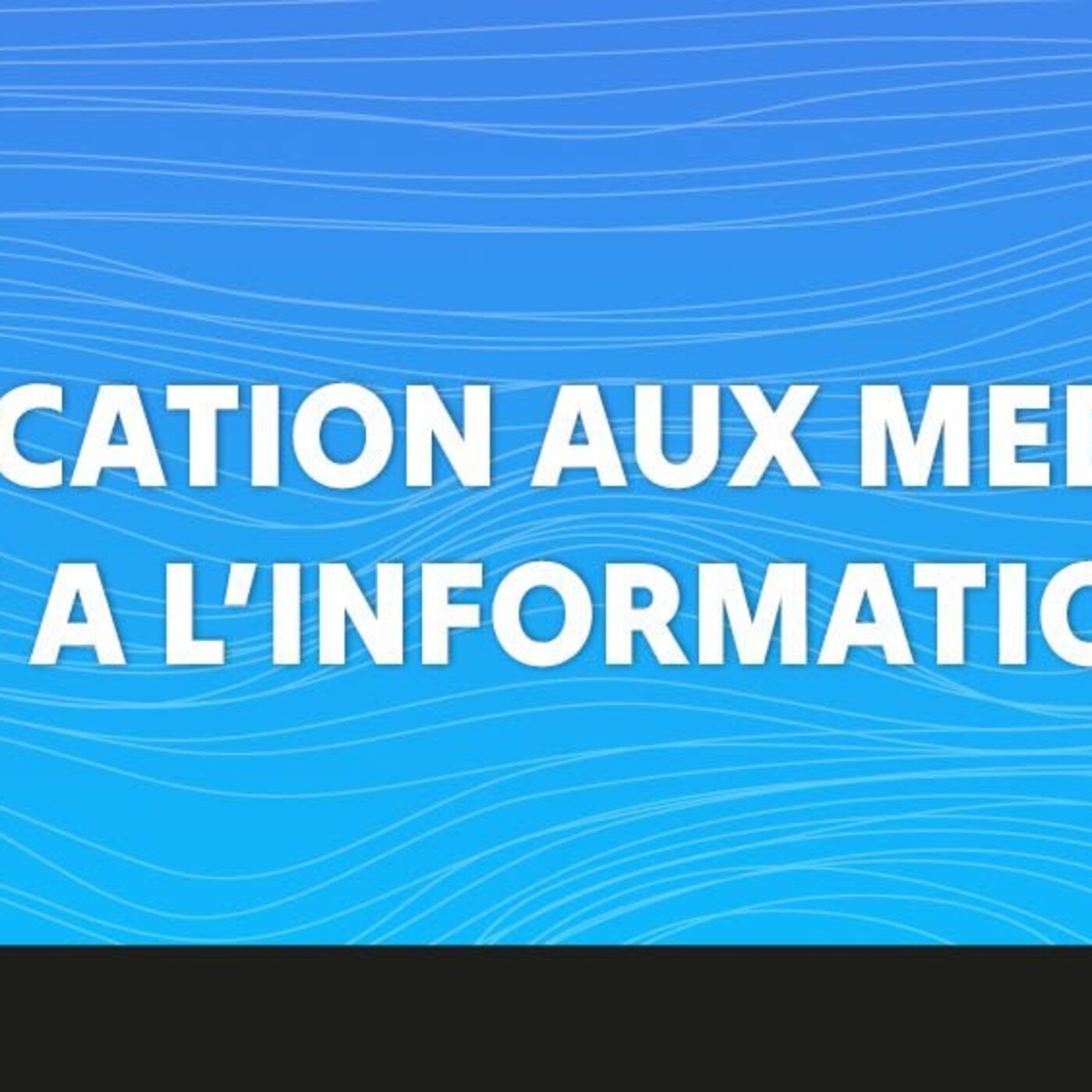 EDUCATION AUX MEDIAS ET A L'INFORMATION